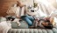 overhead view of  a woman texting as she lies on a couch with a dog at her feet