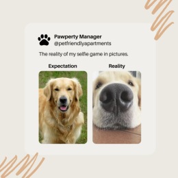 our pet-friendly community our pet-friendly community