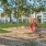 a playground with trees and buildings